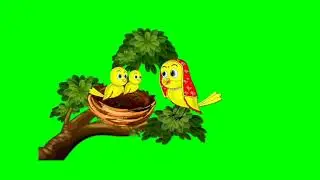 Tuni chidiya bird cartoon green screens 105 background character no copyright birds flying talking