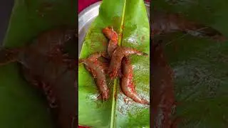 Prawns Fry😋#babitasingh#cookingchannel a#food#bestcookingchannels#cookwithbabita#cookwithme
