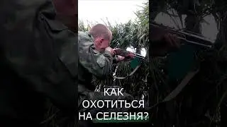 💥 КАК ОХОТИТЬСЯ НА СЕЛЕЗНЯ?