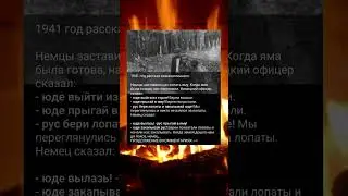 Заставили копать яму