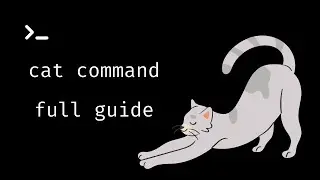 Cat Command Full Guide - Linux Command Line