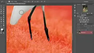 Using Quick Masks in Photoshop CC