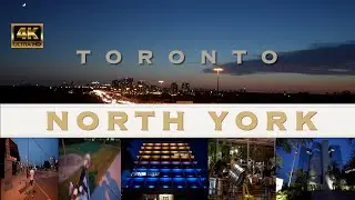 North York's Night Charm | Toronto | Walking Tour |・4K HDR