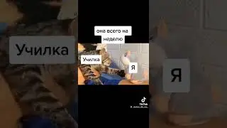 (не моё) мем из тик тока