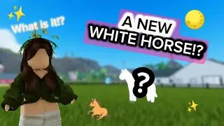 Getting the NEW CAMARILLO horse in horse Valley!