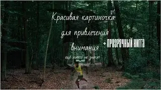 Живем в лесу,едим бананы