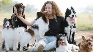 funny dog prank videos | funny dog video 2024 | funniest animals 2024