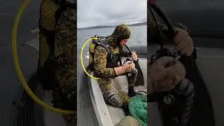 Серьезные ребята