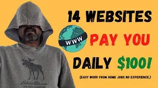 14 Websites That Will Pay You DAILY $100! (Easy Work from Home Jobs No Experience.)