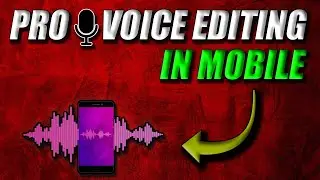 Pro-Level Voice Editing on the Go: Mobile Edition