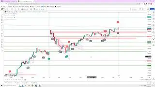 Nifty / Bank Nifty Analysis | 04-09-2023 | Trading View 4K 200 Scaling