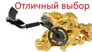 Что можно найти металлоискателем из Китая? Профессиональный металлоискатель с Aliexpress