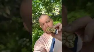 Рецепт щербета в описании