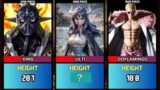 HEIGHT OF ONE PIECE CHARACTERS