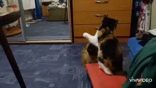 Серьёзное выяснение отношений