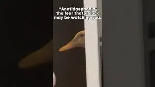 I always feel like somebody’s watching me! 