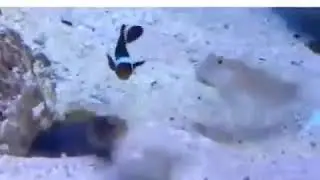 13 июня 2018 г.