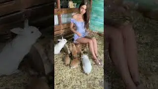 Look at these cute bunnies! Do you like them too?
