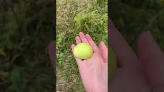 Будешь яблочко? 🍏