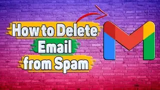 How to Delete Email from Spam in Gmail?