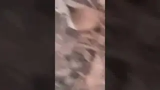 opioioooo9iuujgtvftgfr4f2dwc