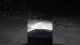 Ямал,катровож, дорога через сор ,выезд на рыбалку ,первый раз в этом году 2024