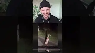 АВСТРИЙСКИЙ ПИНГВИН
