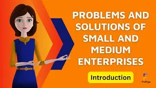 Problems And Solutions Of Small And Medium Enterprises  |  Introduction  |  Profitiya