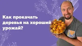 Как сделать, чтобы в огороде все росло? Прокачка растений с Владимиром Бронниковым