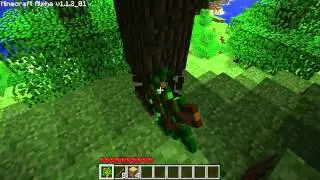 Introduction to my minecraft Let's play