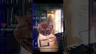 видео не моё