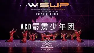 [3rd Place JUNIORS] ACD霹雳少年团 | WSUP JUNIOR Dance Comp 2024 [@VIBRVNCY Front Row 4K]