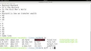 Linux Tutorial Series - 70 - The diff command
