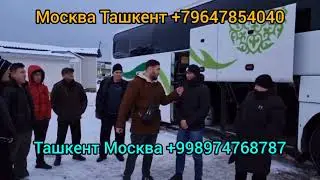 Питер Ташкент Таджикистан автобус Ташкент Питер автобус Москва Ташкент автобус 