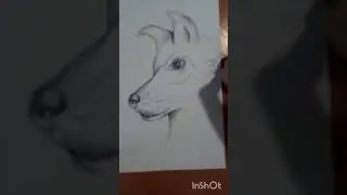 Как нарисовать волка🐺