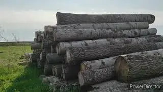 Куда-то КУР повезли 🙄 Где мы были 🤫Семья в деревне