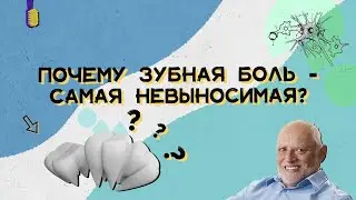 Почему зубы болят, если это кость?
