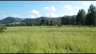 Демонстрация деревни БОЛЬШАЯ ТИХАЯ. Боб.