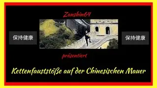 Zanshin64  Kettenfauststöße im Gleichgewicht