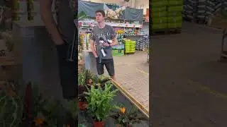Jediná vec, ktorá dokáže pokaziť návštevu záhradníctva