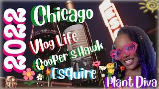 Chicago Cooper's Hawk Esquire Gold Coast!Vlog ℒ𝞪𝑑𝝲 ℒ𝞪 Ꮐ𝞪𝙩𝞪₇ Plant Diva! #lovenotes #love #plants