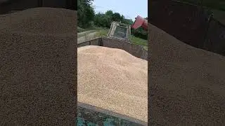 1 серпня 2024 р.
