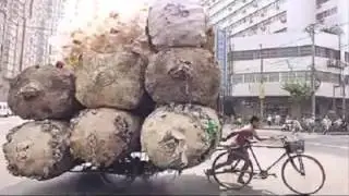 Be Thankful for What we have
