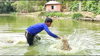 New Fishing Video ||Traditional Village Boys Carp Fish Catching By Hand In Pond Mud Water