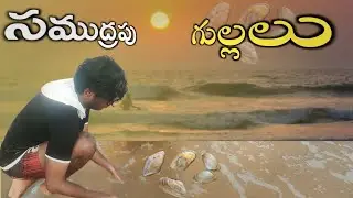 బీచ్ లో  గుల్లలు #sea food#రాజుపాలెం #food#vamsi#localboi