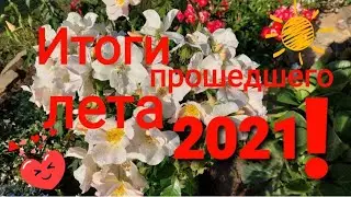 #итоги_лета
