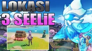 Lokasi 3 Seelie Di Nazuchi Beach Precious Chest - Genshin Impact