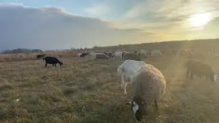 Сделай чтобы потом не жалеть!!!!