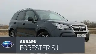 Subaru Forester тест-драйв, вступайте в секту Субару