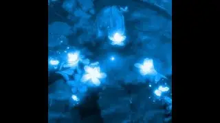 (FREE) Nvscvr x Mnzr x Summrs x Plugg Type Beat 